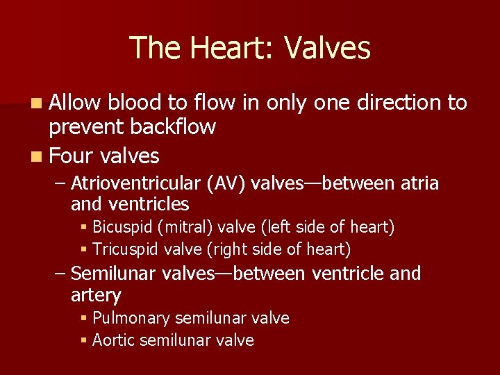 The Heart: Valves n Allow blood to flow in only one direction to prevent The Heart: Valves n Allow blood to flow in only one direction to prevent