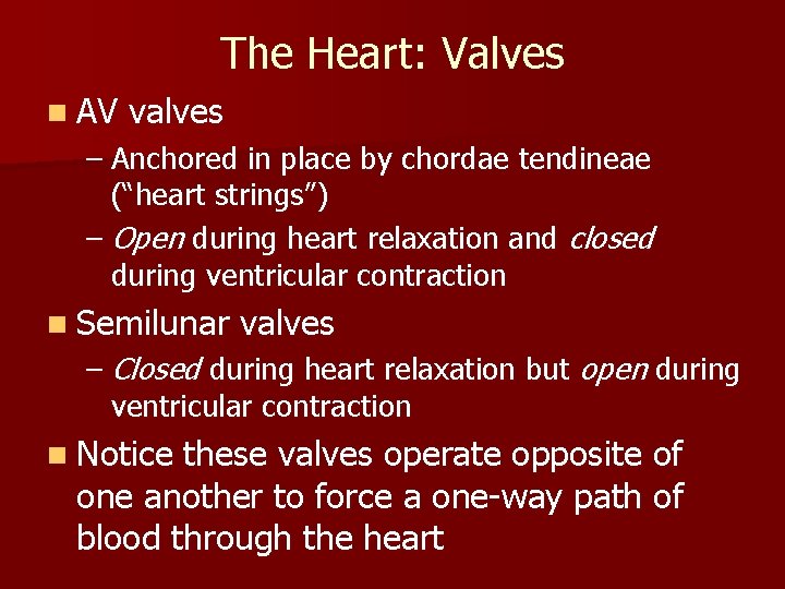 The Heart: Valves n AV valves – Anchored in place by chordae tendineae (“heart The Heart: Valves n AV valves – Anchored in place by chordae tendineae (“heart