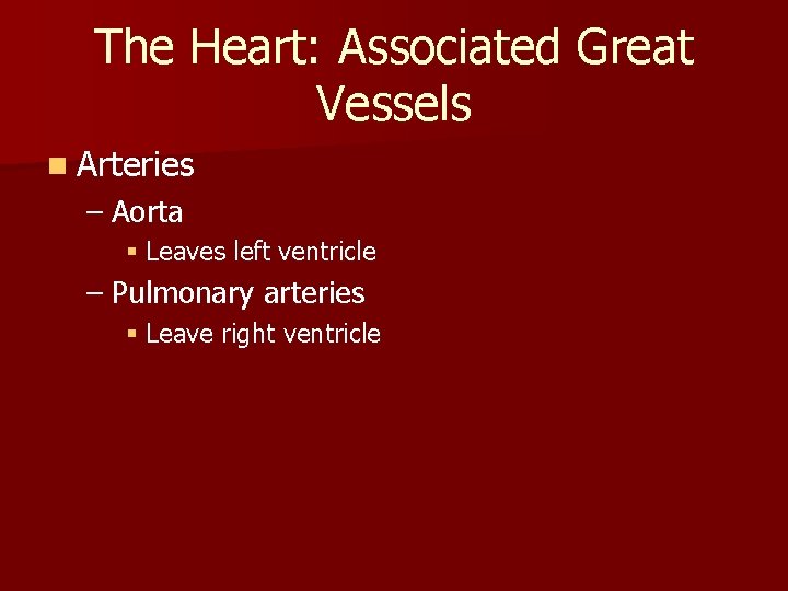 The Heart: Associated Great Vessels n Arteries – Aorta § Leaves left ventricle – The Heart: Associated Great Vessels n Arteries – Aorta § Leaves left ventricle –