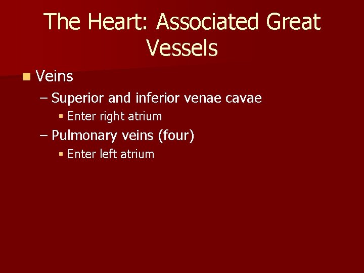 The Heart: Associated Great Vessels n Veins – Superior and inferior venae cavae § The Heart: Associated Great Vessels n Veins – Superior and inferior venae cavae §