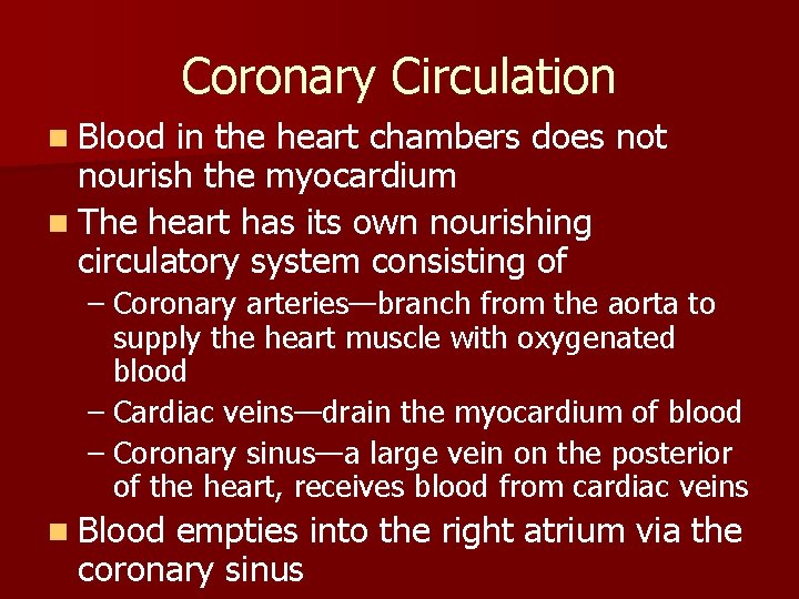 Coronary Circulation n Blood in the heart chambers does not nourish the myocardium n Coronary Circulation n Blood in the heart chambers does not nourish the myocardium n