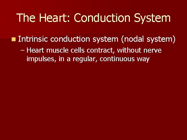 The Heart: Conduction System n Intrinsic conduction system (nodal system) – Heart muscle cells The Heart: Conduction System n Intrinsic conduction system (nodal system) – Heart muscle cells