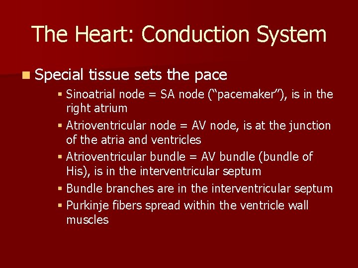 The Heart: Conduction System n Special tissue sets the pace § Sinoatrial node = The Heart: Conduction System n Special tissue sets the pace § Sinoatrial node =