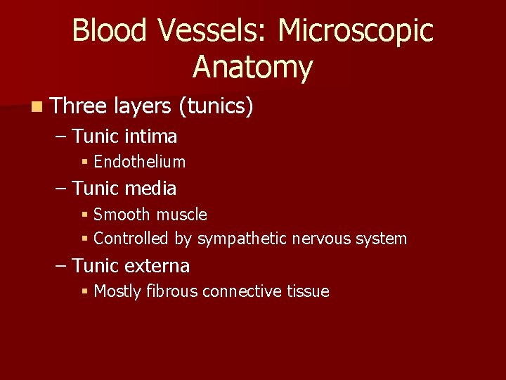Blood Vessels: Microscopic Anatomy n Three layers (tunics) – Tunic intima § Endothelium – Blood Vessels: Microscopic Anatomy n Three layers (tunics) – Tunic intima § Endothelium –