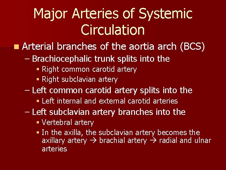 Major Arteries of Systemic Circulation n Arterial branches of the aortia arch (BCS) – Major Arteries of Systemic Circulation n Arterial branches of the aortia arch (BCS) –