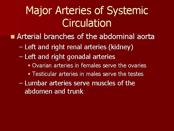 Major Arteries of Systemic Circulation n Arterial branches of the abdominal aorta – Left Major Arteries of Systemic Circulation n Arterial branches of the abdominal aorta – Left