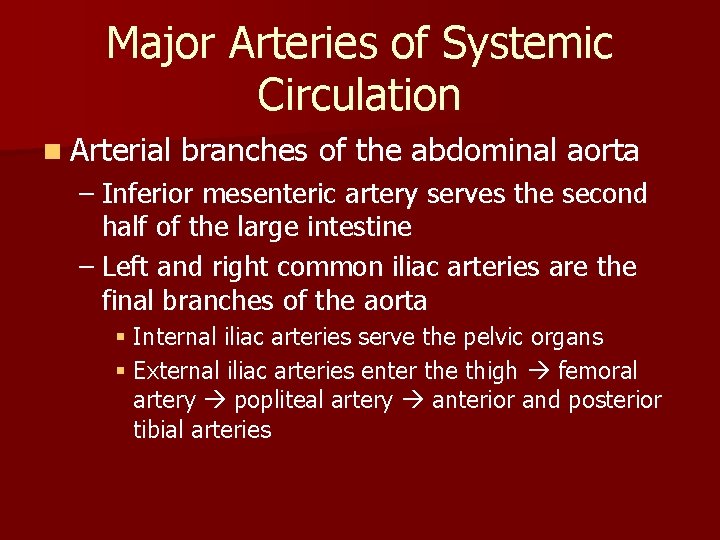 Major Arteries of Systemic Circulation n Arterial branches of the abdominal aorta – Inferior Major Arteries of Systemic Circulation n Arterial branches of the abdominal aorta – Inferior