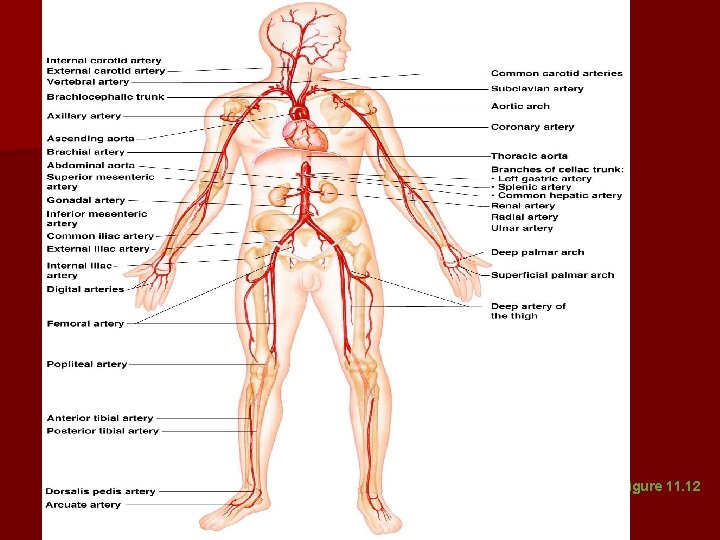 Figure 11. 12 Figure 11. 12