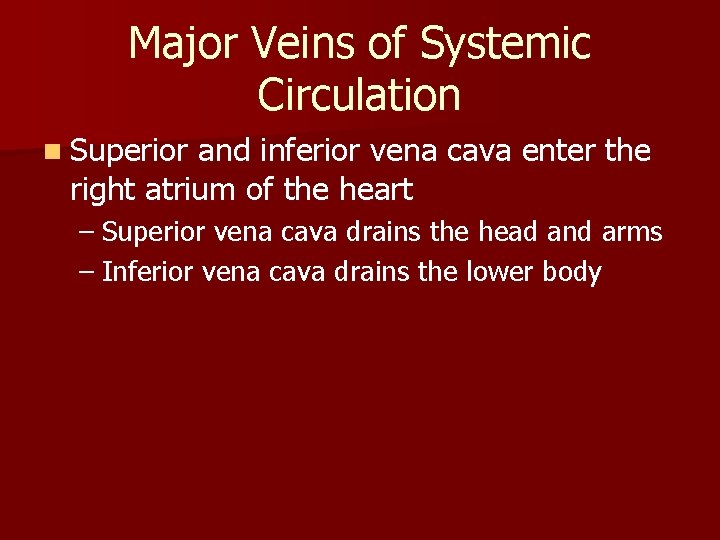 Major Veins of Systemic Circulation n Superior and inferior vena cava enter the right Major Veins of Systemic Circulation n Superior and inferior vena cava enter the right