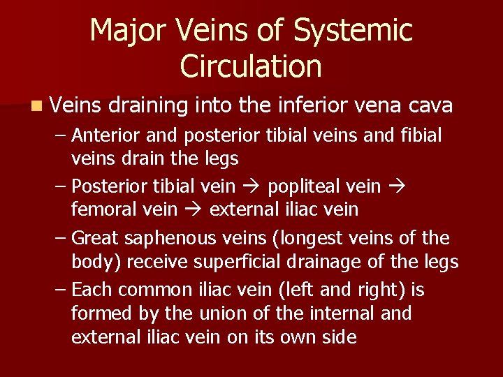 Major Veins of Systemic Circulation n Veins draining into the inferior vena cava – Major Veins of Systemic Circulation n Veins draining into the inferior vena cava –