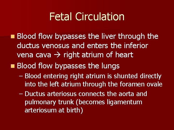 Fetal Circulation n Blood flow bypasses the liver through the ductus venosus and enters Fetal Circulation n Blood flow bypasses the liver through the ductus venosus and enters