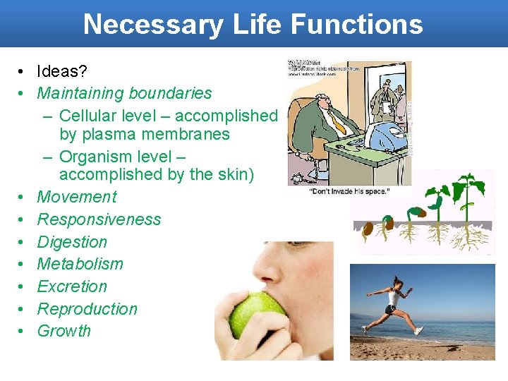 Necessary Life Functions • Ideas? • Maintaining boundaries – Cellular level – accomplished by
