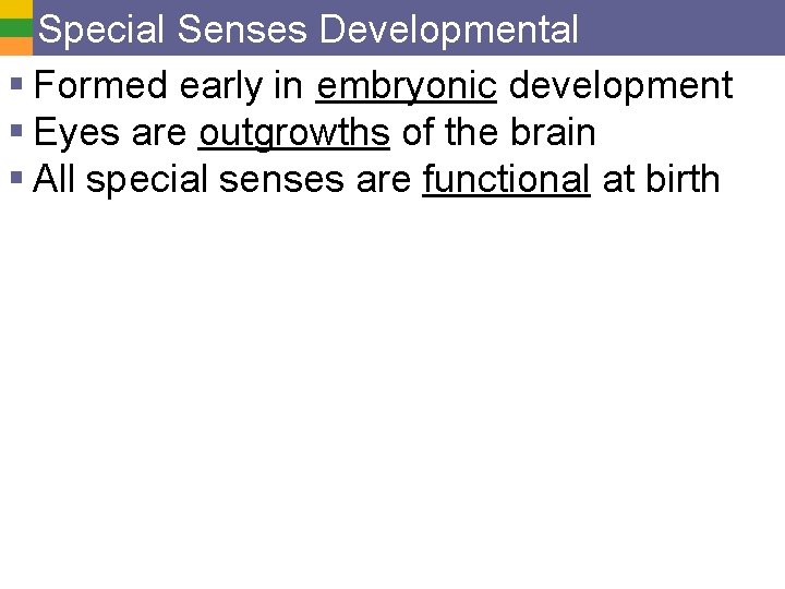 Special Senses Developmental § Formed early in embryonic development § Eyes are outgrowths of