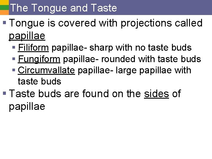 The Tongue and Taste § Tongue is covered with projections called papillae § Filiform