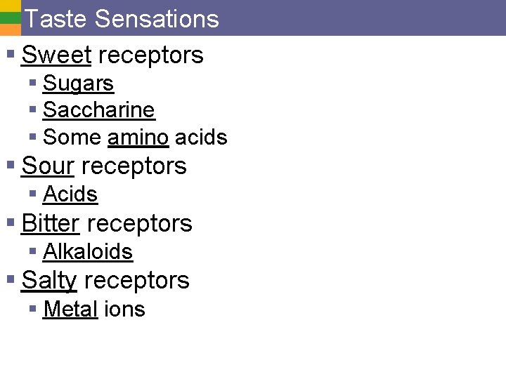 Taste Sensations § Sweet receptors § Sugars § Saccharine § Some amino acids §
