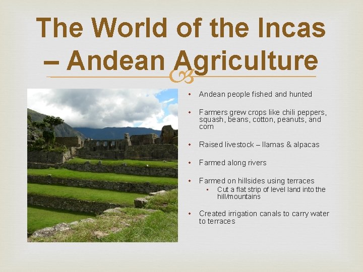 The World of the Incas – Andean Agriculture • Andean people fished and hunted