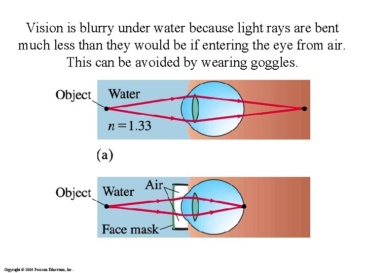 Vision is blurry under water because light rays are bent much less than they