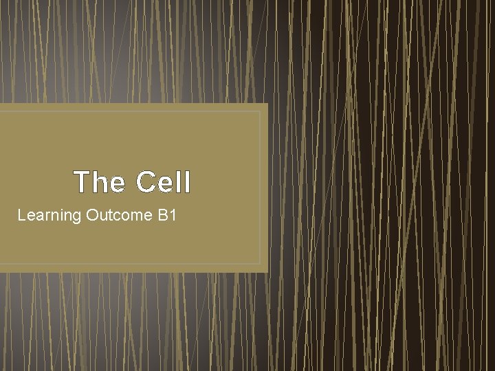 The Cell Learning Outcome B 1 