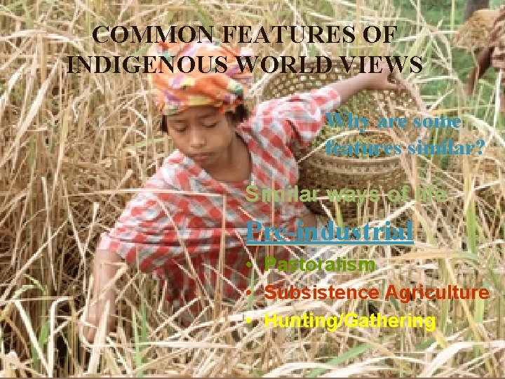 COMMON FEATURES OF INDIGENOUS WORLD VIEWS Why are some features similar? Similar ways of COMMON FEATURES OF INDIGENOUS WORLD VIEWS Why are some features similar? Similar ways of