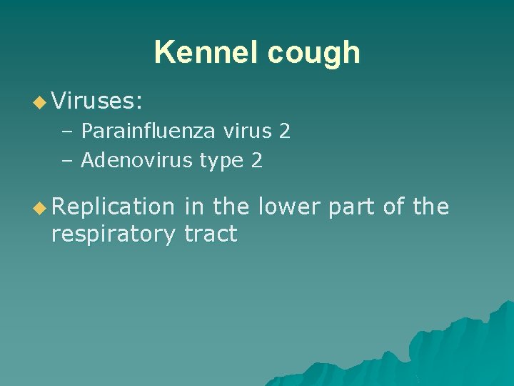 Kennel cough u Viruses: – Parainfluenza virus 2 – Adenovirus type 2 u Replication