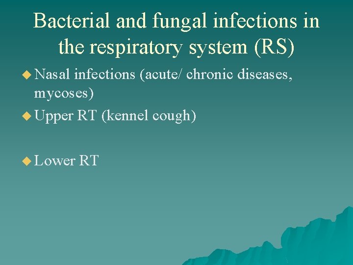 Bacterial and fungal infections in the respiratory system (RS) u Nasal infections (acute/ chronic