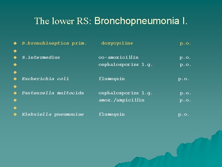 The lower RS: Bronchopneumonia I. u B. bronchiseptica prim. doxycycline p. o. u u