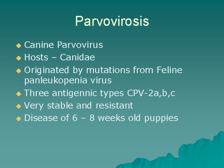 Parvovirosis Canine Parvovirus u Hosts – Canidae u Originated by mutations from Feline panleukopenia