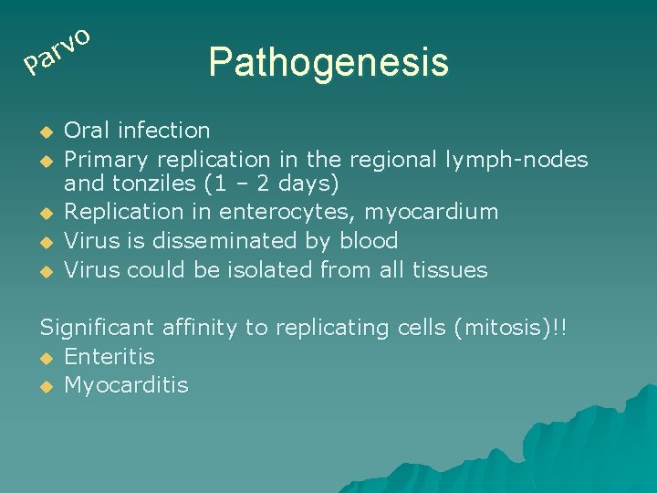 o v r Pa u u u Pathogenesis Oral infection Primary replication in the