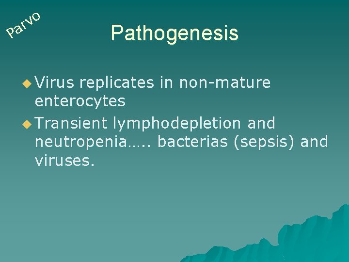 o v ar P u Virus Pathogenesis replicates in non-mature enterocytes u Transient lymphodepletion