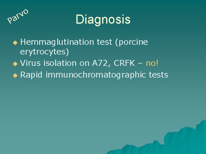 o v r Pa Diagnosis Hemmaglutination test (porcine erytrocytes) u Virus isolation on A
