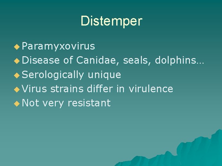 Distemper u Paramyxovirus u Disease of Canidae, seals, dolphins… u Serologically unique u Virus