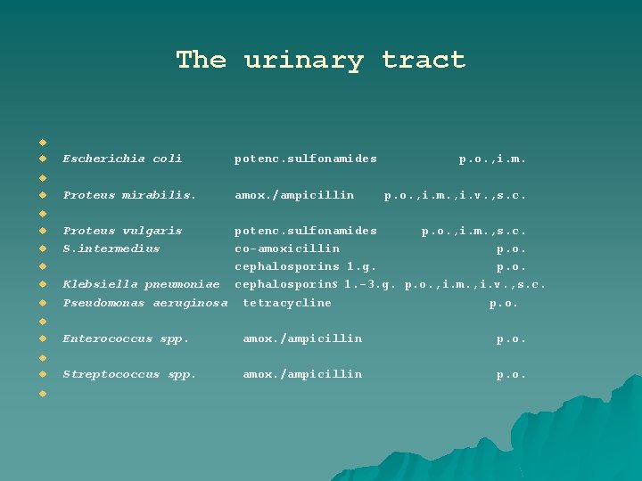 The urinary tract u u Escherichia coli potenc. sulfonamides Proteus mirabilis. amox. /ampicillin p.