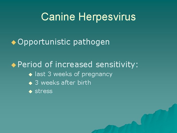 Canine Herpesvirus u Opportunistic u Period u u u pathogen of increased sensitivity: last