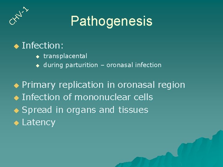1 CH Vu Pathogenesis Infection: u u transplacental during parturition – oronasal infection Primary