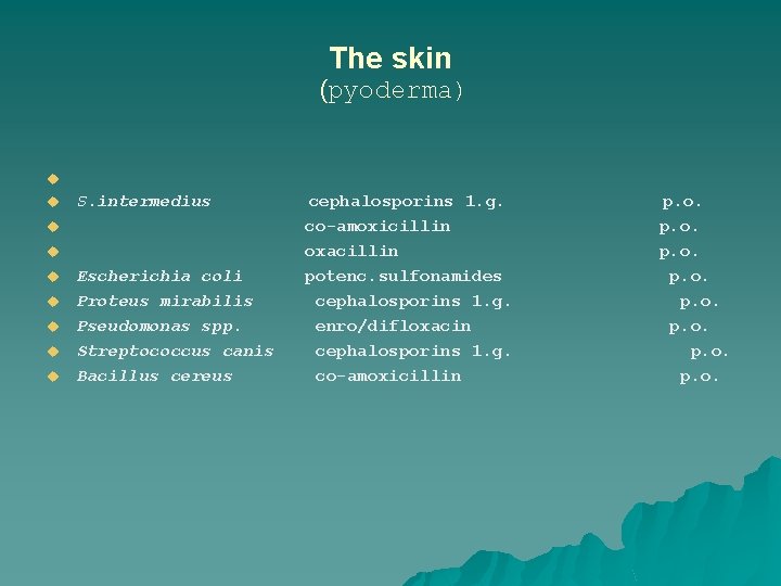 The skin (pyoderma) u u S. intermedius u u u u Escherichia coli Proteus