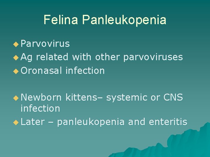 Felina Panleukopenia u Parvovirus u Ag related with other parvoviruses u Oronasal infection u