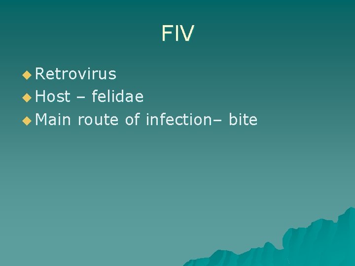 FIV u Retrovirus u Host – felidae u Main route of infection– bite 