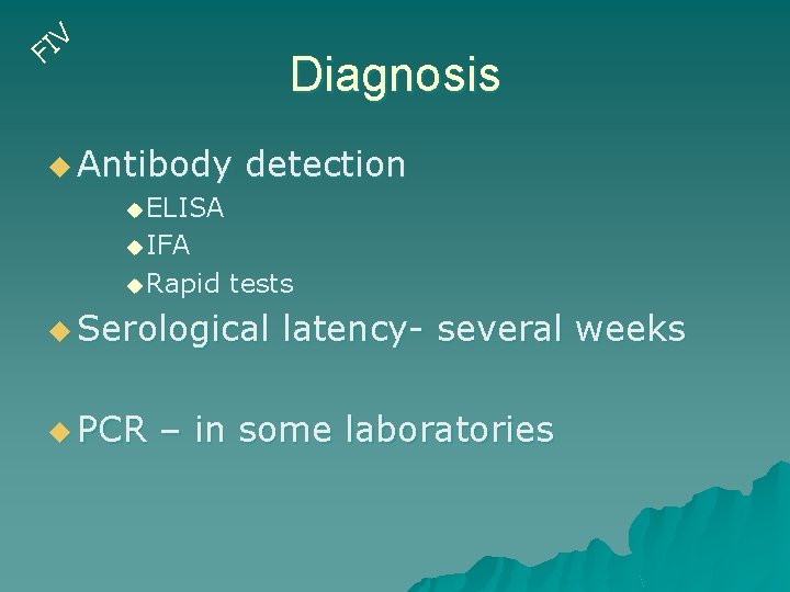 V I F Diagnosis u Antibody detection u ELISA u IFA u Rapid tests
