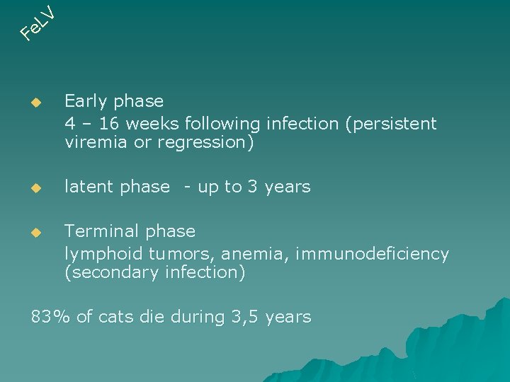 V L e F u Early phase 4 – 16 weeks following infection (persistent