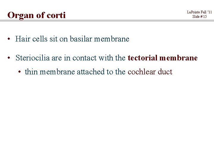 Organ of corti La. Pointe Fall ’ 11 Slide # 15 • Hair cells