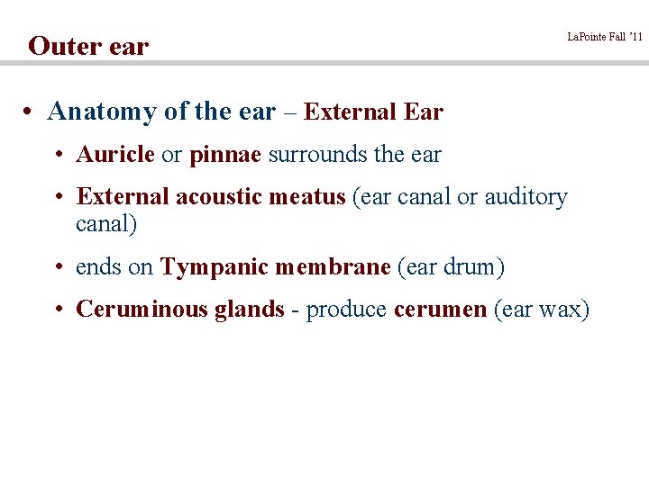 Outer ear La. Pointe Fall ’ 11 Slide # 2 • Anatomy of the