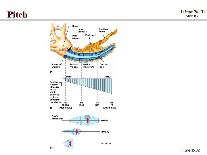 Pitch La. Pointe Fall ’ 11 Slide # 21 Figure 15. 32 