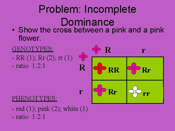 Problem: Incomplete Dominance • Show the cross between a pink and a pink flower.