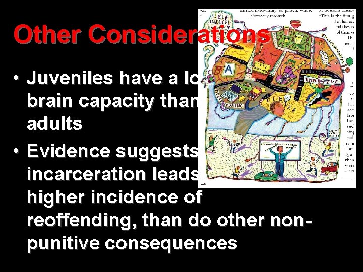 Other Considerations • Juveniles have a lower brain capacity than adults • Evidence suggests