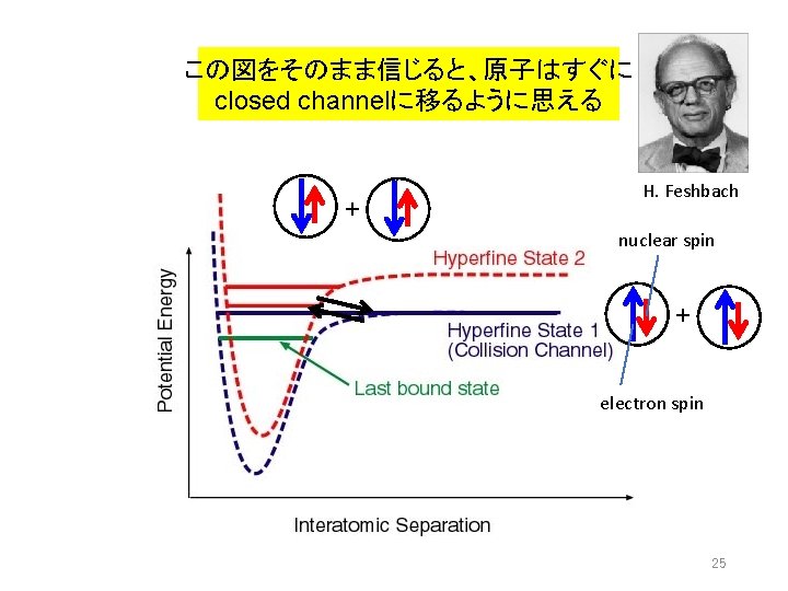 この図をそのまま信じると、原子はすぐに closed channelに移るように思える + H. Feshbach nuclear spin + electron spin 25 この図をそのまま信じると、原子はすぐに closed channelに移るように思える + H. Feshbach nuclear spin + electron spin 25