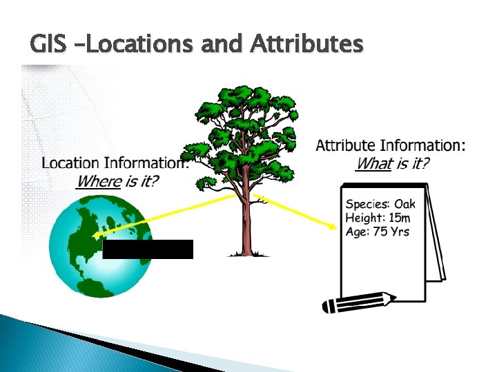 GIS –Locations and Attributes 