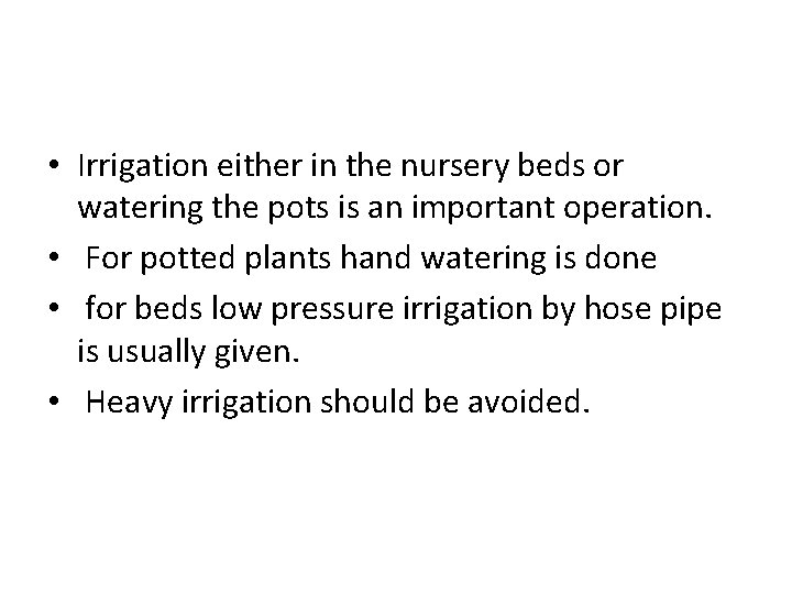  • Irrigation either in the nursery beds or watering the pots is an