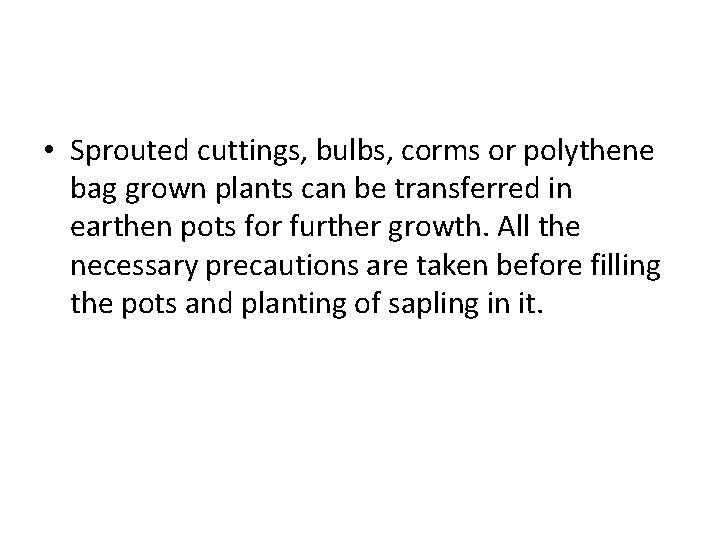  • Sprouted cuttings, bulbs, corms or polythene bag grown plants can be transferred