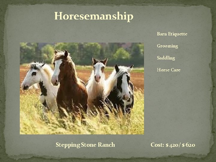 Horesemanship Barn Etiquette Grooming Saddling Horse Care Stepping Stone Ranch Cost: $ 420/ $