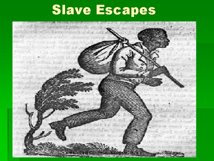 Slave Escapes 